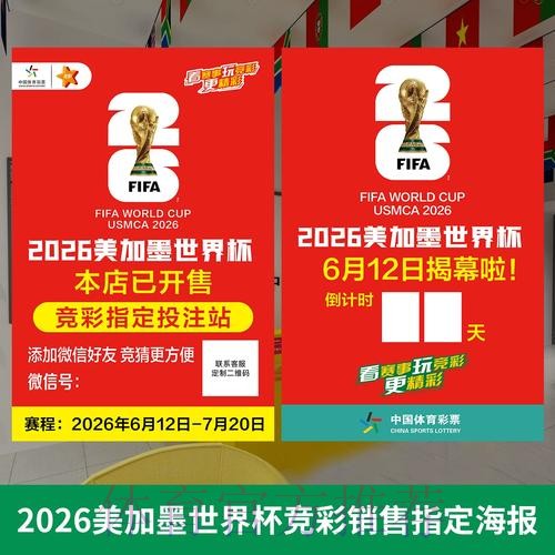 解读世界杯投注热潮与发展趋势